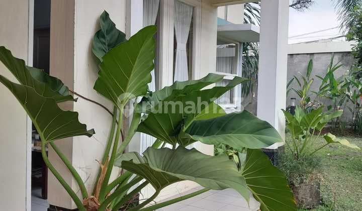 Cinere Gandul Luas 202 Rumah 1 Lantai Murah Dekat Pintu Tol Krukut Depok Antasari