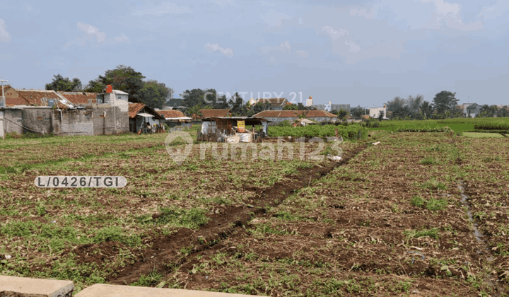 Dijual Tanah Sawah Kering Luas di Ranca Mekar Cangkuang Bandung