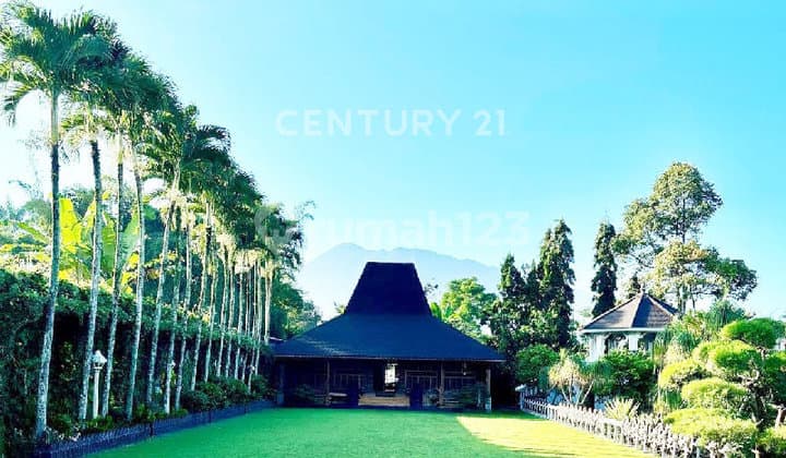 Dijual Villa Luas Jawa dan Jepang, Fully Furnished, Megamendung
