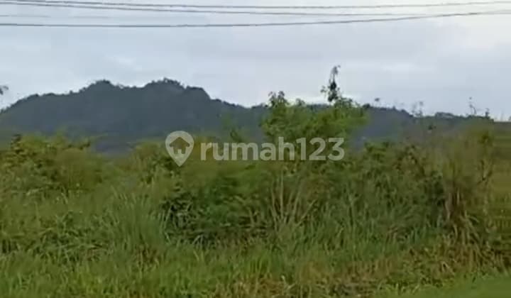 Kavling Siap Huni di Pintu Gerbang Exit Sicincin Batang Anai