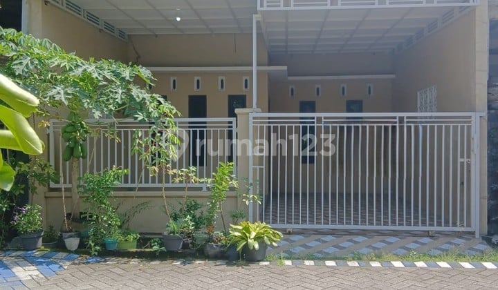 Cuma 500 Juta Sudah Dapat Rumah Baru Gress di Surya Residence