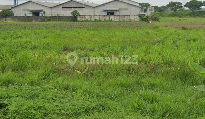 Tanah Industri Raya Sidorejo Jetis Mojokerto 3700m2 Lebar Depan 100m SHM Jalan Beton Flash Sale