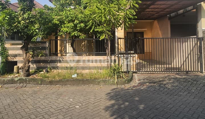 Rumah Palm Spring Regency Jambangan Surabaya SHM 9x20 Siap Huni Jual Cepat Harga BU Nego