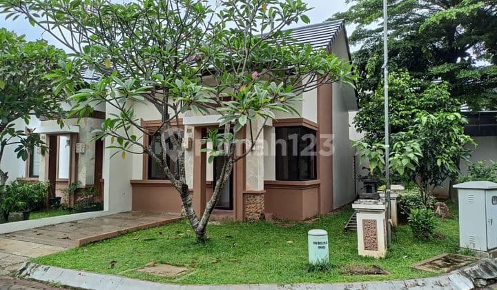 Rumah 1 lantai suasana seperti villa dan asri shm dan baru SHM Baru