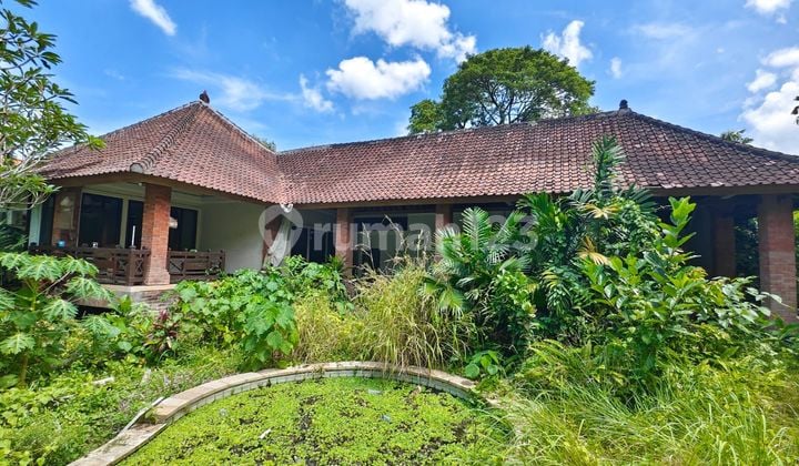Premium Land For Rent In Umalas, Kerobokan Area