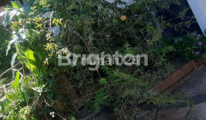 Tanah bonusRUMAH , LT 440M2, SHM,JALAN 2 MOBIL, GARASI 2 MOBIL, selangkah pasar dan mall