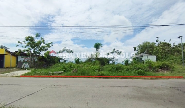 Tanah Pekarangan Cocok Untuk Perumahan