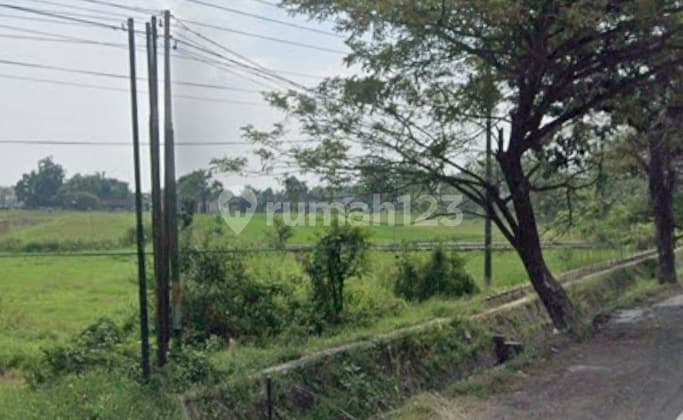 Tanah Pinggir Jalan Raya Cocok untuk Gudang dan Komersil Lainnya