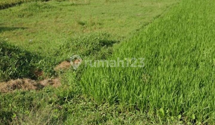 Tanah Pinggir Jalan Raya Cocok untuk Gudang dan Komersil Lainnya