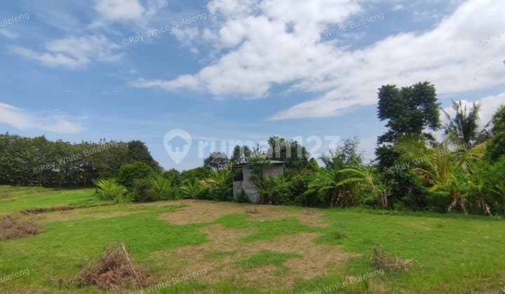 940 SQM FREEHOLD LAND IN LOVINA