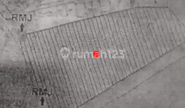 Tanah di Hr Muhammad / Putat Gede Strategis