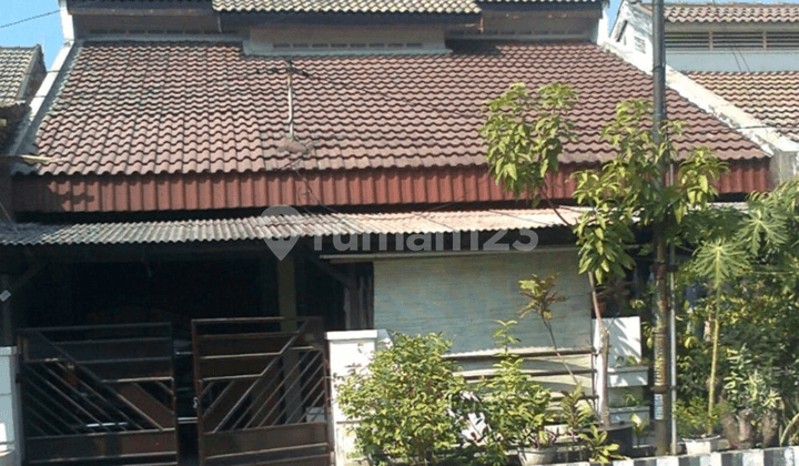 Rumah Pandugo Baru, Aman, Tenang, Nyaman, Banyak Pepohonan, Tidak Banjir Rumah Pandugo Baru, Aman, Tenang, Nyaman, Banyak Pepohonan, Tidak Banjir