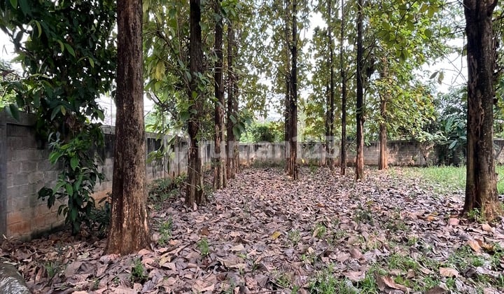 Turun Harga Tanah Dan Bangunan Strategis Dekat Gudang Tekno Bsd