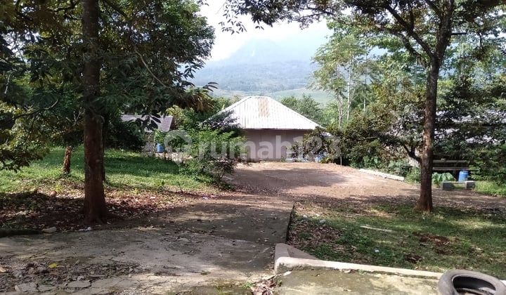 For Sale Livestock & Agricultural Land in Tanjungsari with SHM (Freehold Title)