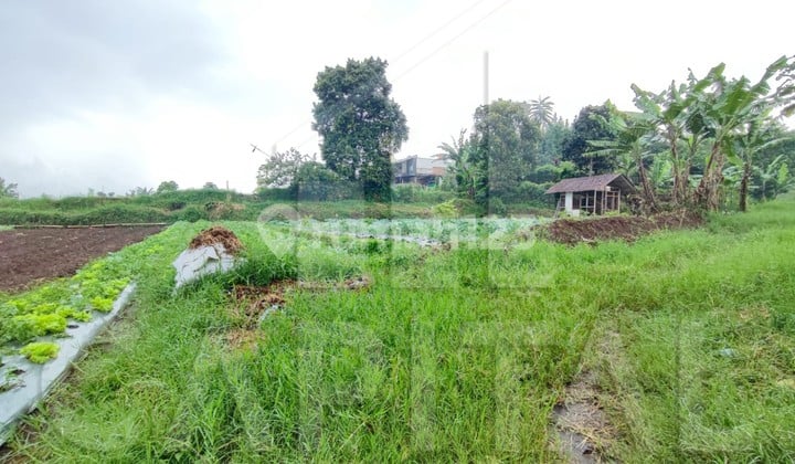 Turun Harga! Dibawah Harga Pasar Tanah Di Sayap Setiabudi Regency