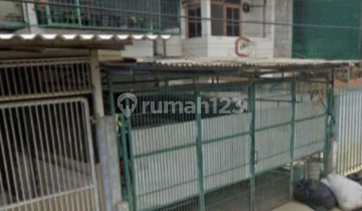 Old House Land Count Cosmos Garden East Facing