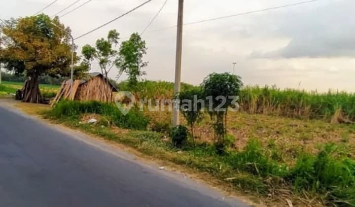 Tanah Pertanian Dekat Terminal Jombang