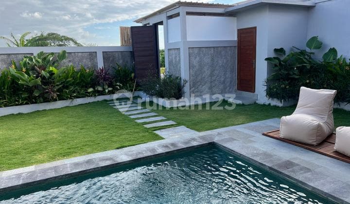 Disewakan Villa 2 Kamar View Sawah Di Canggu At
