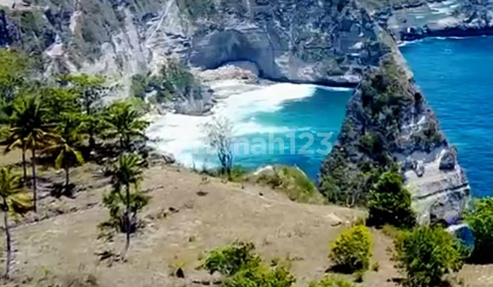 Dijual Tanah 263 Are Los Tebing Cocok Untuk Villa Pk