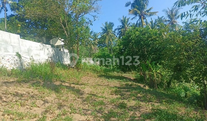 Dijual Tanah 18 Are Shm Di Lombok Barat Dd