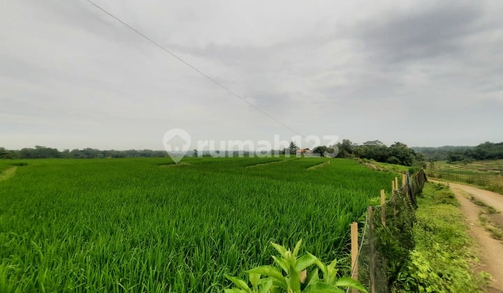 Tanah Siap Bangun di Zona Kuning di Bojong Mangu Karang Mulya Kabupaten Bekasi Dekat Pintu Toll Japek 2 dan Giic