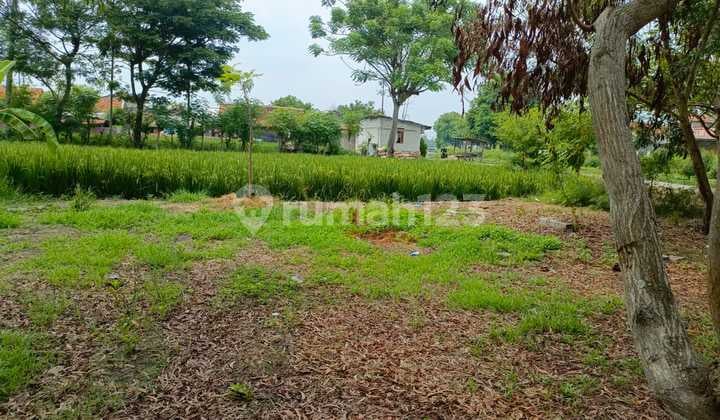 Kavling Siap Bangun di Kutawaluya Karawang Dekat dengan Akses Jalan Raya Utama