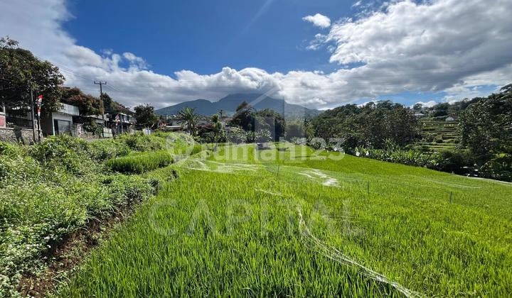 Land Price Drop Suitable for Building Housing in Ujungberung, Bandung City