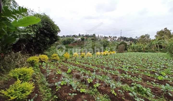 Tanah Luas Cocok untuk Rumah Tinggal Maupun Villa Lokasi Strategis di Parongpong Bandung Barat