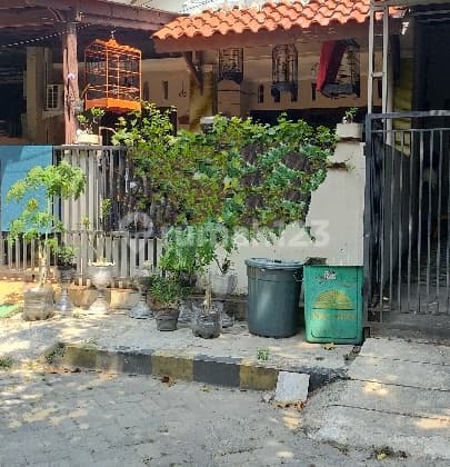 Rumah Termurah Di Taman Cikas Belakang Kamala Lagoon Bekasi