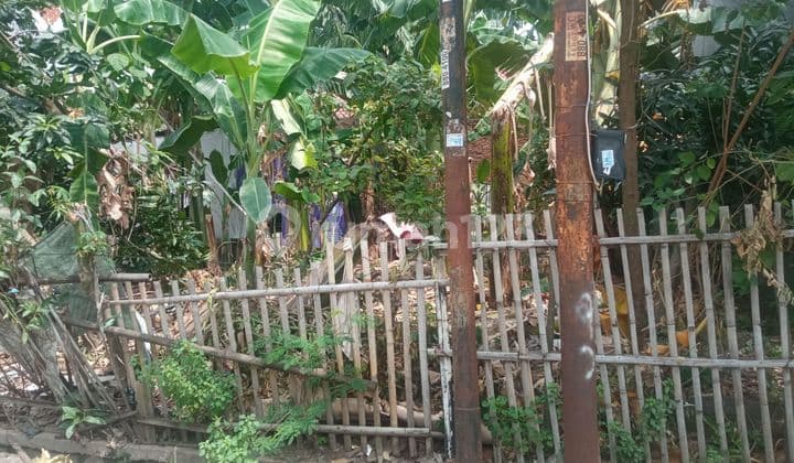 Kavling Tanah Luas Di Rawa Semut Margahayau Bekasi