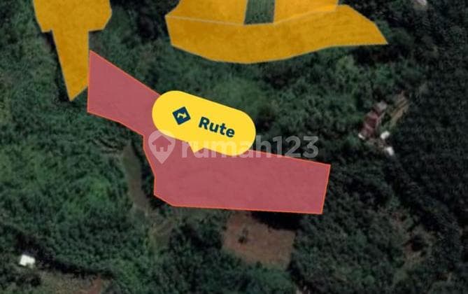 Tanah Luas Dan Terawat di Cikidang Sukabumi Harga Oke