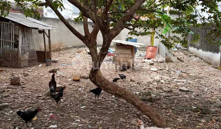 Plot in Gg Gintung Tanjung Barat Ready to Build Great Location