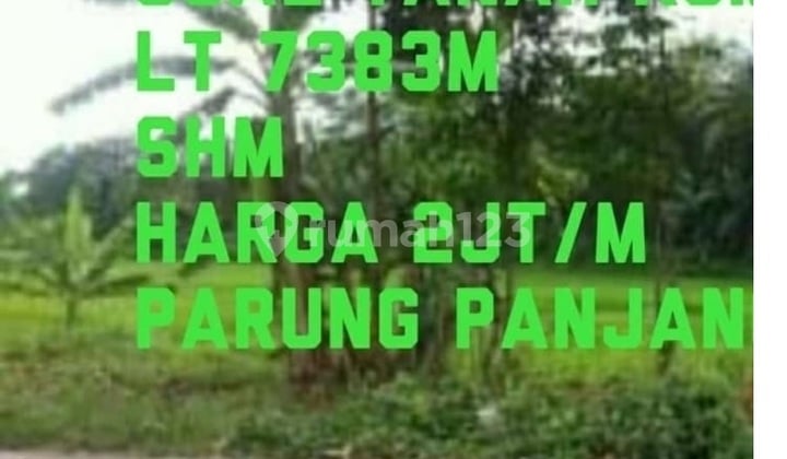 Tanah Kavling di Parung Panjang Bogor Siap Bangun