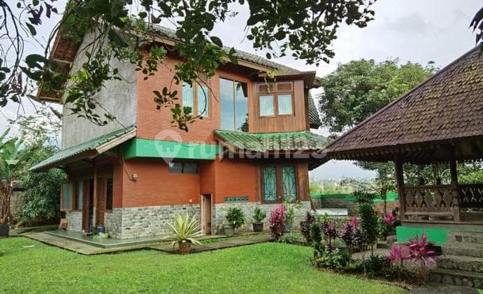 Villa Hijau Megamendung di Jawa Barat Lokasi Strategis Nego