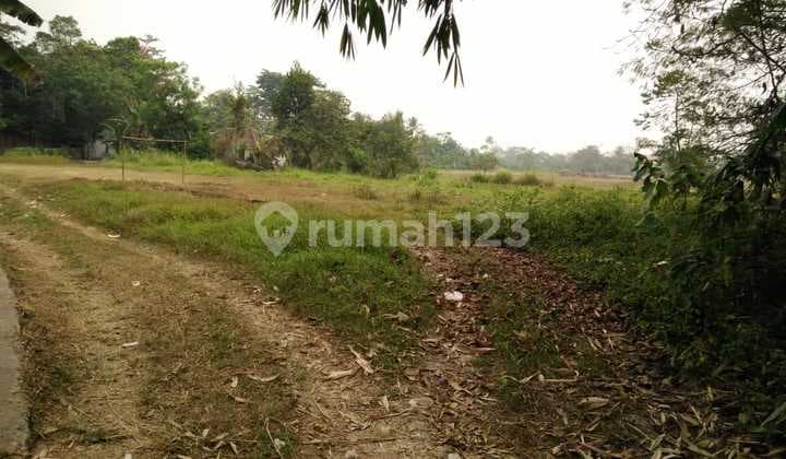 Tanah Kavling di Serang Banten Lokasi Strategis Nego