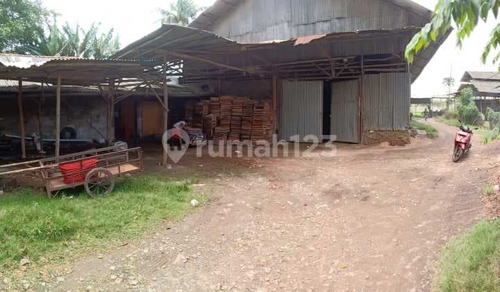 Land Plot in Mauk Tangerang for Laying Hen Farming