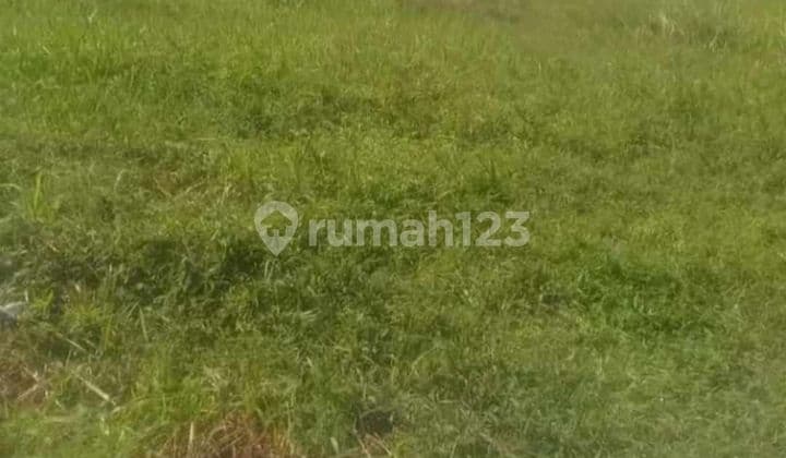 Dijual Kavling Siap Bangun Bentuk Kotak Sudah Dipagar Dekat Akses Toll Serpong Balaraja