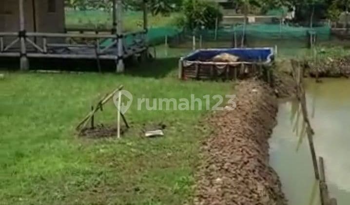 Jual Cepat Empang Lahan Darat di Cibentang Ciseeng Parung Bogor
