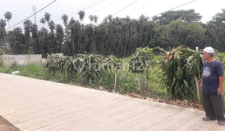 Dijual Tanah Daerah Kampung Poncol Tanah Seral Bogor Jawa Barat