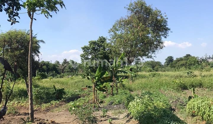 Dijual Tanah di Cikupa Tangerang Dekat Citra Raya,Bisa Sebagian