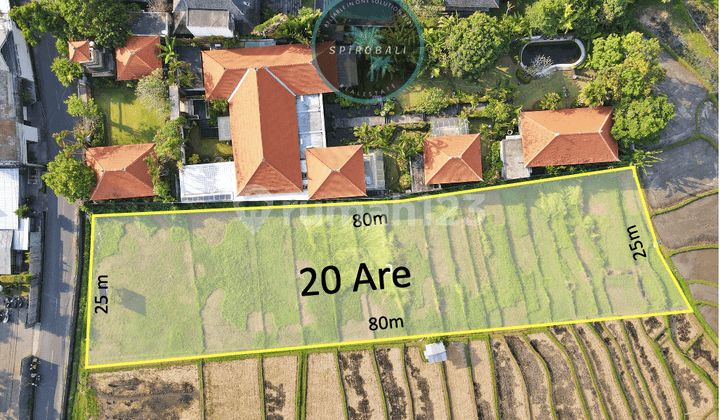 Jual Tanah 20 Are Bumbak Umalas Prime Location