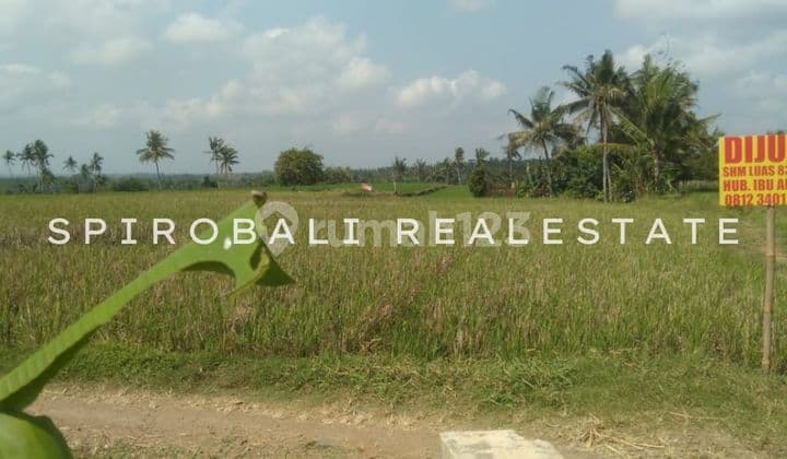 Dijual Cepat Tanah Agraria di Banyuwangi Gumuk Jawa Timur