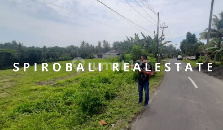 Freehold Land in Tabanan is Still Very Beautiful