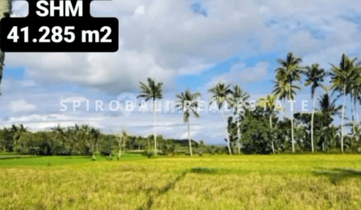 Jual Tanah Persawahan Di Banyuwangi Selat Bali