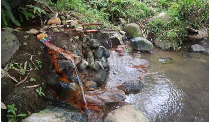 Tanah di Desa Angseri Tabanan Bonus Natural Hot Water Spring