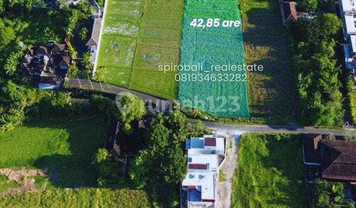 Tanah Hak Sewa 42 Are di Buwit Tabanan Dekat Nuanu