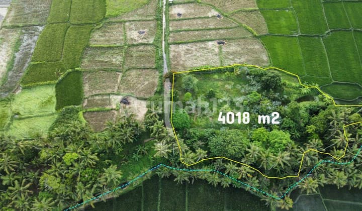 Translation: "For Sale: Land in Ubud, Lodtunduh with Riverside View and Rice Fields"