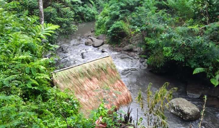 Tanah Los Sungai Ayung Payangan Gianyar Ubud 3 Ha