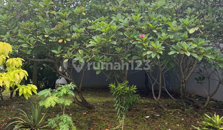 Tanah Dekat Boulevard Rs Pondok Indah Bintaro Tangsel Wt-17543