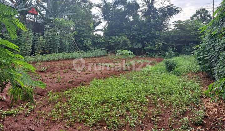 Tanah Area Graha Raya Dekat Bintaro Akses 1 Mobil